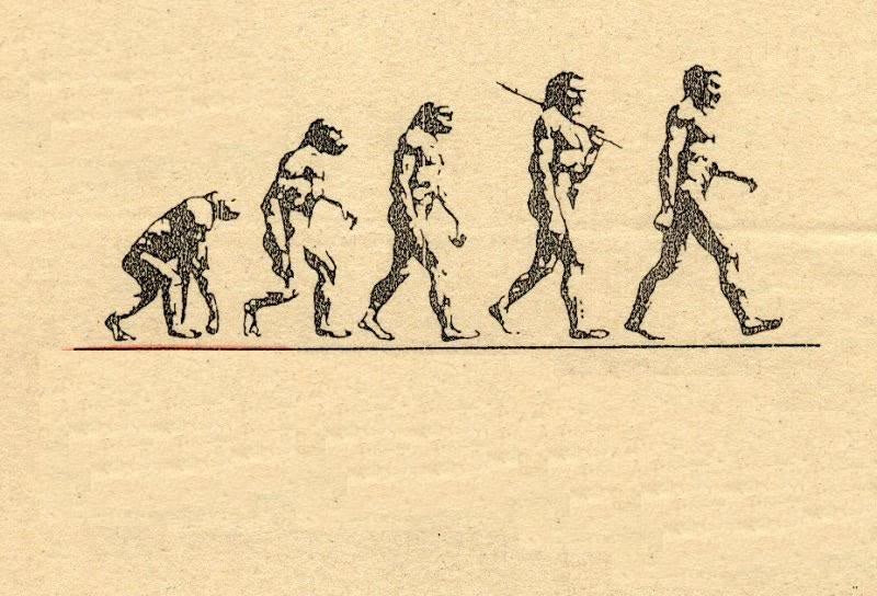 De mens als carnivoor — wat ons lichaam ons al millennia vertelt
