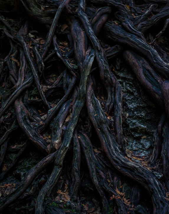 Trekt uwe plan maand, maar ook weer niet.